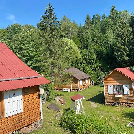 Homorod Lodge Băile Homorod Exterior photo