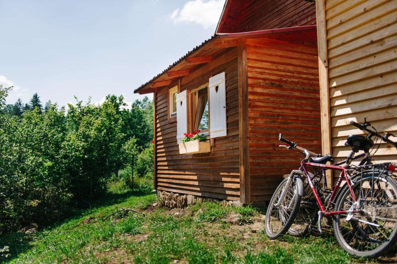 Homorod Lodge Băile Homorod Exterior photo